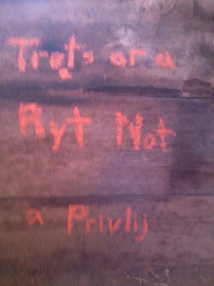 11357091_10153504504875649_6484928692281946631_o