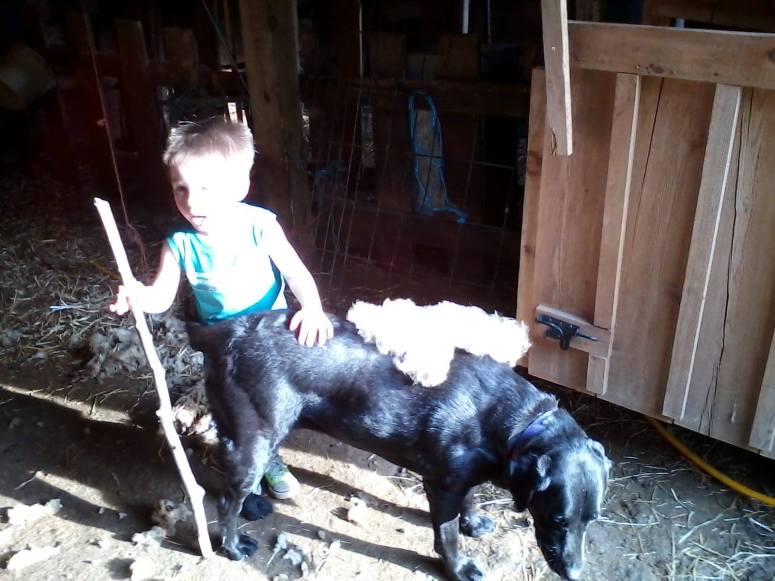 13458526_10154399020475649_3319077280007127962_o