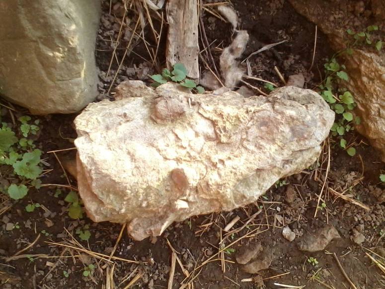 13490657_10154399002900649_4271224887981269918_o