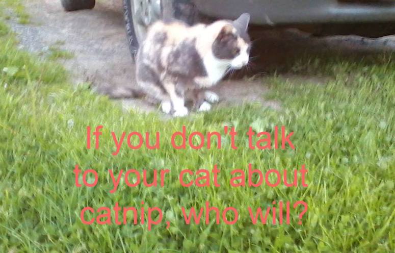 18671361_10155564918410649_6048358211382921066_o