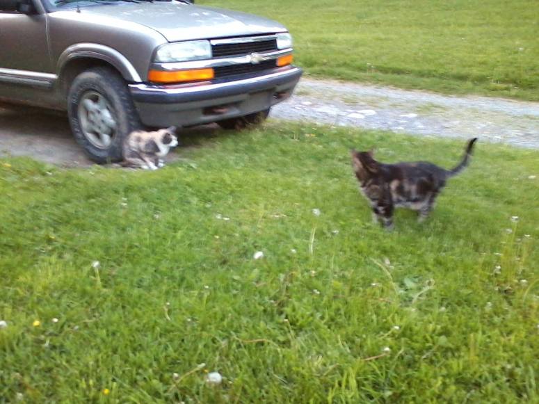 18815007_10155588531395649_1317881176271301239_o