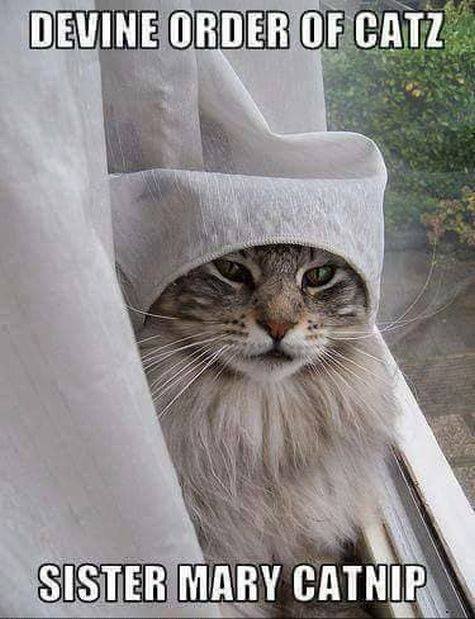 19424181_10209194516210966_1870083552674230787_n