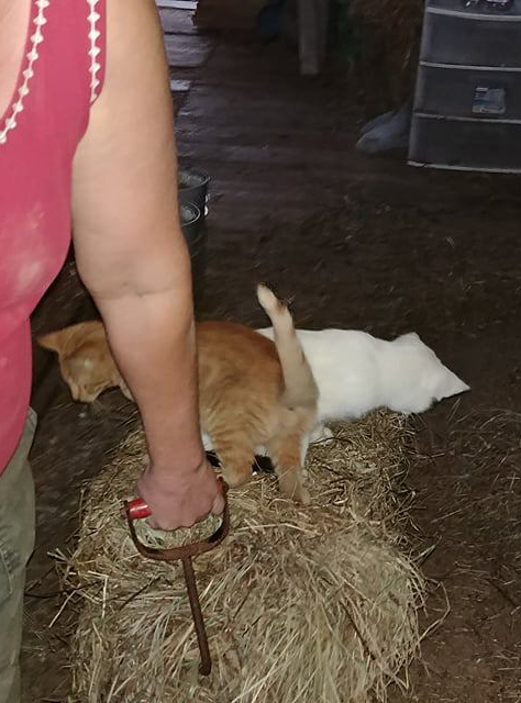 23157274_10212670780102449_3328652398291590966_o (2)